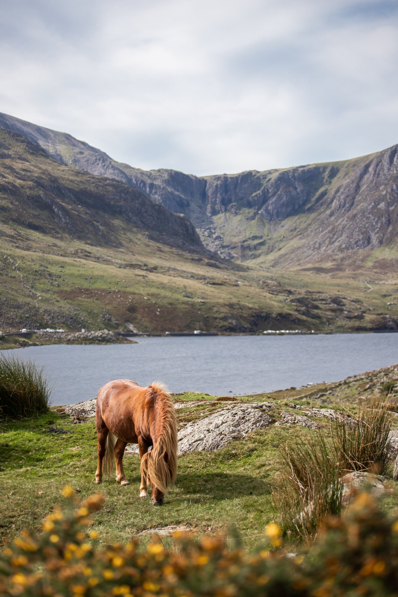 Ogwyn Horse at Ogwen Valley, Snowdonia, Wales — fine art landscape photography print by Liam Hancox