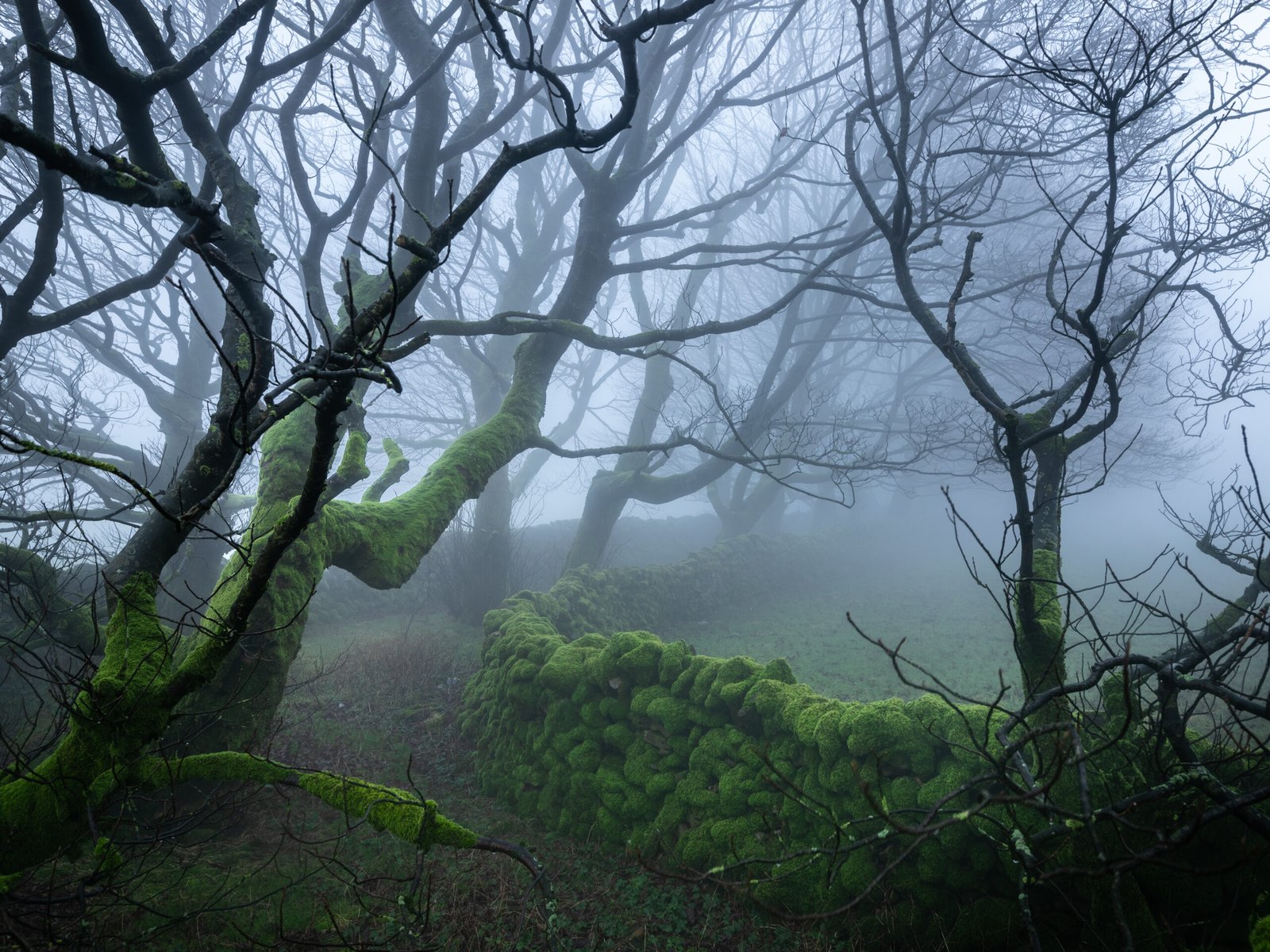Mossy Wall at Wales — fine art landscape photography print by Liam Hancox