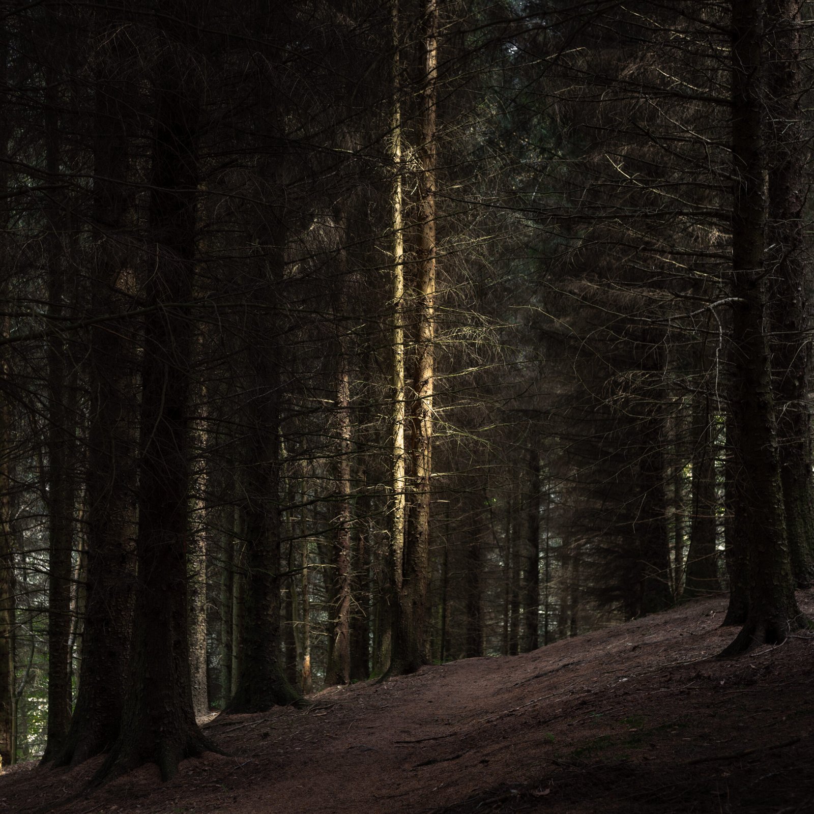Twin Beams at Talacre, North Wales — fine art landscape photography print by Liam Hancox