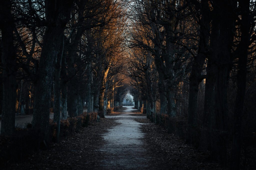 Schönbrunn Palace Path at Schönbrunn Palace, Vienna, Austria — fine art landscape photography print by Liam Hancox