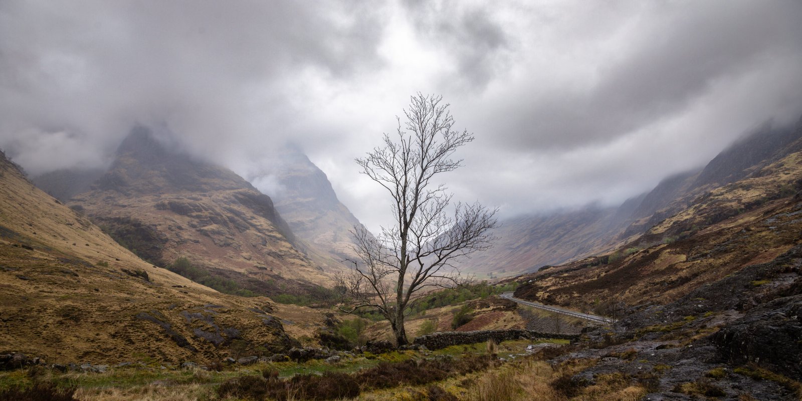 Glencoe Tree at Glencoe, Scottish Highlands — fine art landscape photography print by Liam Hancox